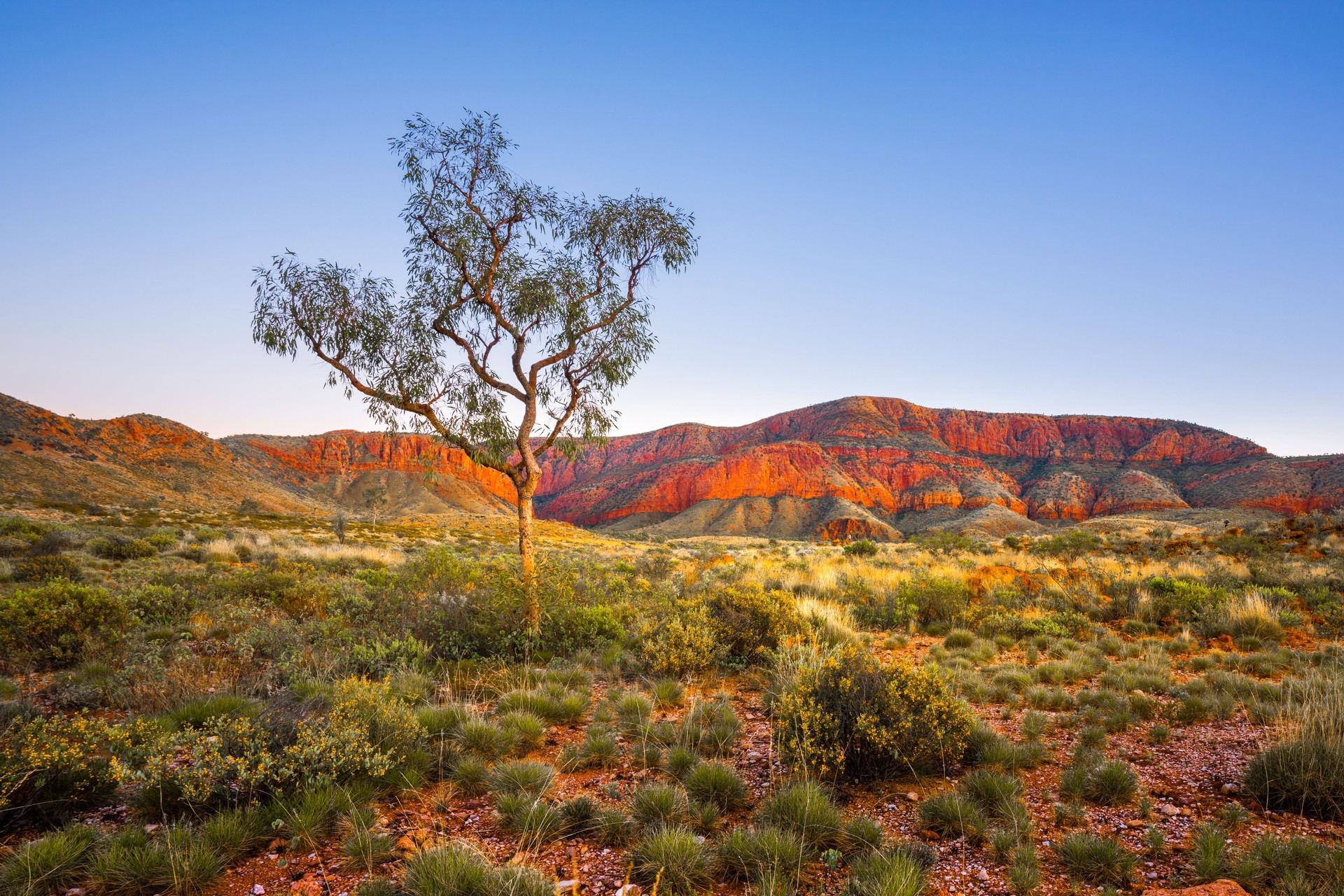 Skilled Worker Regional Visa Australia
